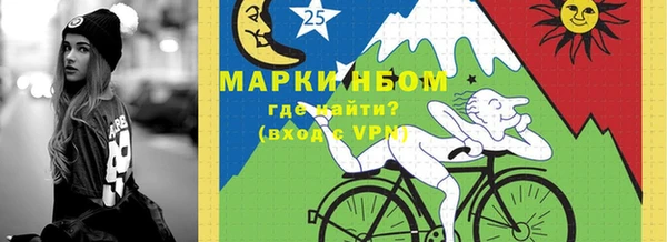 индика Горнозаводск