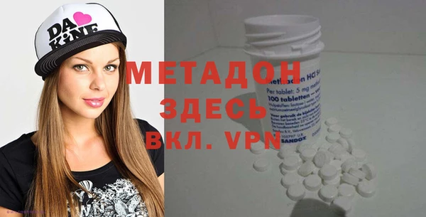 индика Горнозаводск