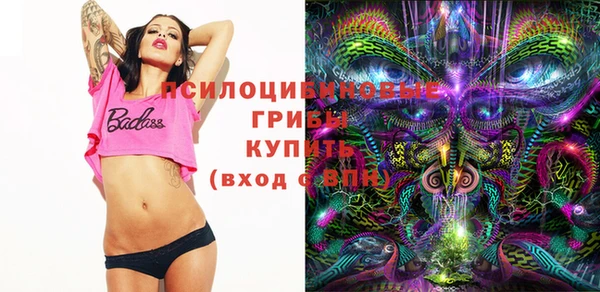крисы Горно-Алтайск