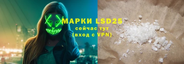 индика Горнозаводск