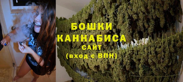 индика Горнозаводск