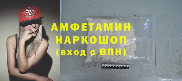 индика Горнозаводск