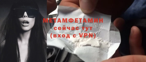 индика Горнозаводск