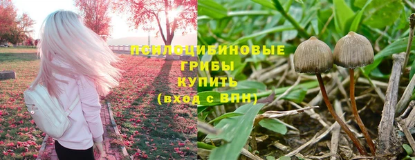 индика Горнозаводск