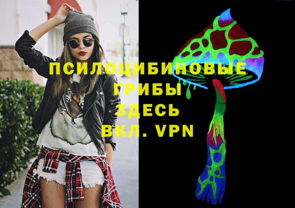индика Горнозаводск
