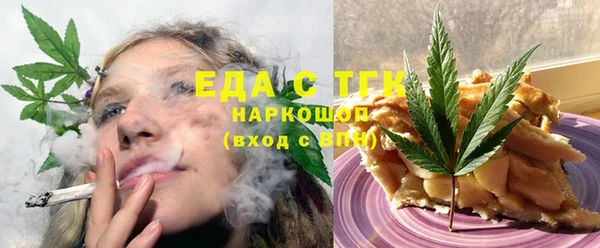 индика Горнозаводск