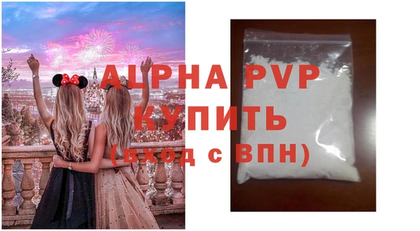 индика Горнозаводск