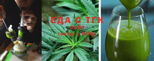индика Горнозаводск