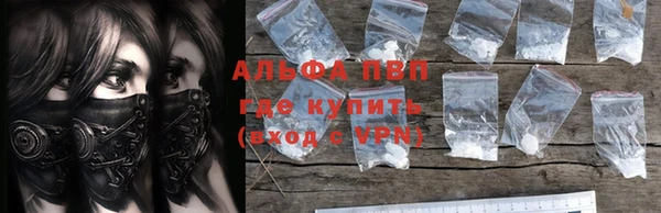 индика Горнозаводск