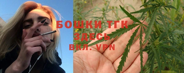 индика Горнозаводск