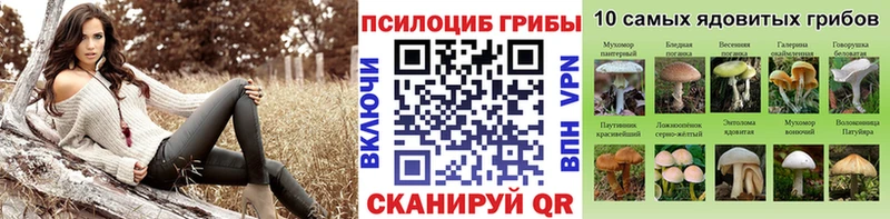 хочу наркоту  маркетплейс какой сайт  Галлюциногенные грибы прущие грибы  Новоржев 