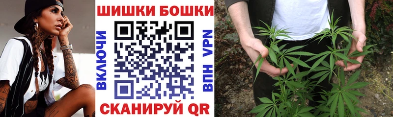 shop какой сайт  mega ССЫЛКА  Каннабис OG Kush  Новоржев  где можно купить наркотик 